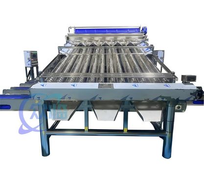 سعر جيد 4900W SUS304 آلة تصنيف الجمبري ، آلة تصنيف غسيل الجمبري المستدامة الانترنت