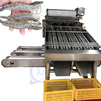 سعر جيد معدات عملية المأكولات البحرية آلة تصنيف غسل الروبيان آلة فرز الروبيان الأوتوماتيكية لتقشير الجمبري الانترنت