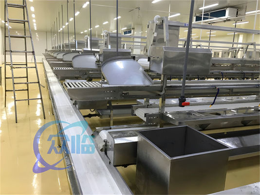 سعر جيد 1506kg خط إنتاج المأكولات البحرية الفولاذ المقاوم للصدأ مقعد عمل مخصص خط معالجة الأسماك والروبيان حزام ناقل الانترنت