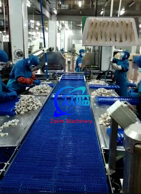 خط تمديد الجمبري ذو التصميم الجديد، خط معالجة التمبورا، معالجة نوباشي