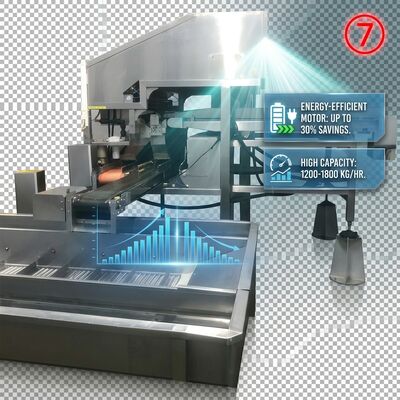 سعر جيد 380 فولت منفصل جسم رأس الجمبري مضاد للتآكل SUS316 1000-1500KG 9.0KW 440V متصل