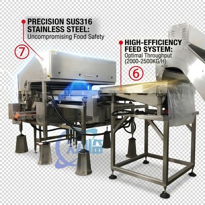 سعر جيد Rugged Shrimp Head Separator SUS304 Stainless Steel 800-1000KG 15KW 440V For Shrimp Processing Plant متصل