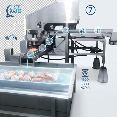 سعر جيد High Output Shrimp Processing Machine Hygienic SUS304 500-800KG 0.8KW 220V For Seafood Export Company متصل