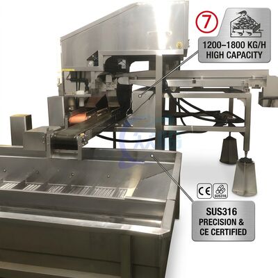 سعر جيد نظام إزالة رأس الجمبري التلقائي طويل الأمد SUS316L 2000-2500KG 3.0KW 415V لمصنع المطاعم متصل