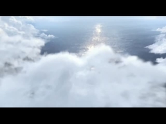 صرصور الديفينر